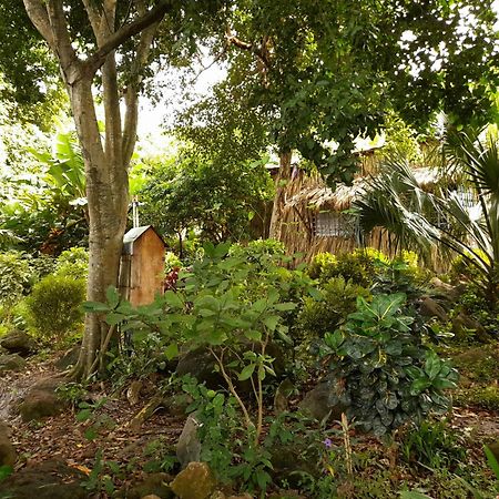 El Bamboo Cabins Balgue Exterior foto