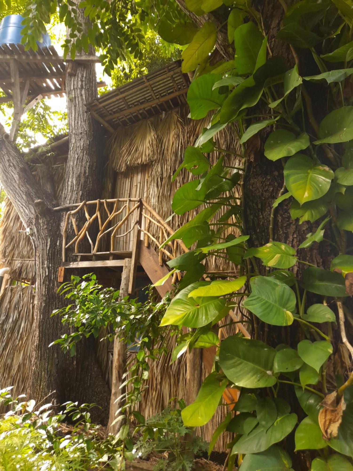 El Bamboo Cabins Balgue Exterior foto